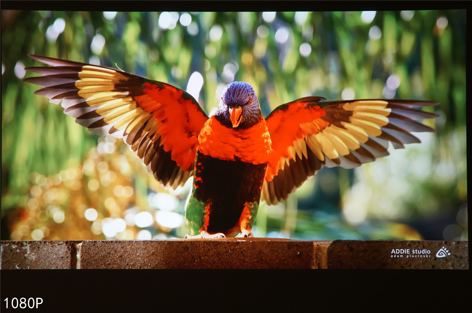 爱普生ch-tw7000对比明基tk800m,明基tk800m4k投射150寸