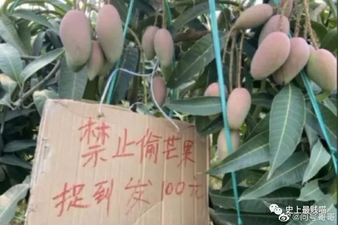 “教你怎么和家里的长辈微信聊天？”这操作太骚了！