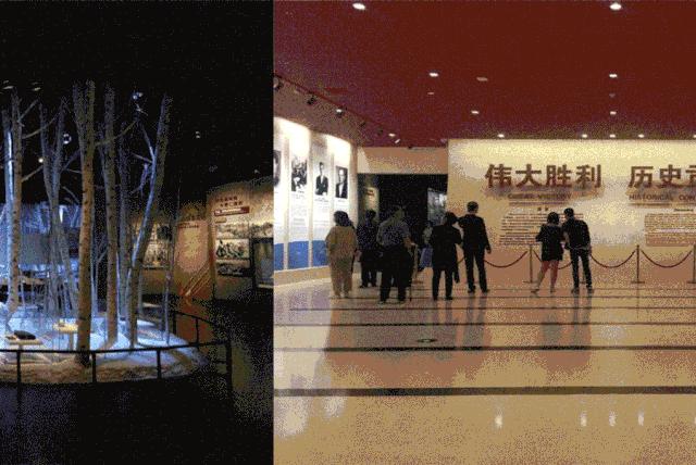 2020丰台文化和旅游消夏季活动正式启动！5条线路，游园、嬉水、赏花、亲子、夜游，全都有！