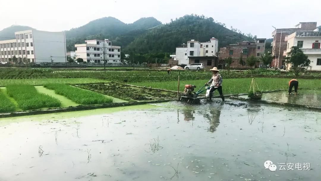 微耕机补助政策,农业补贴政策微耕机