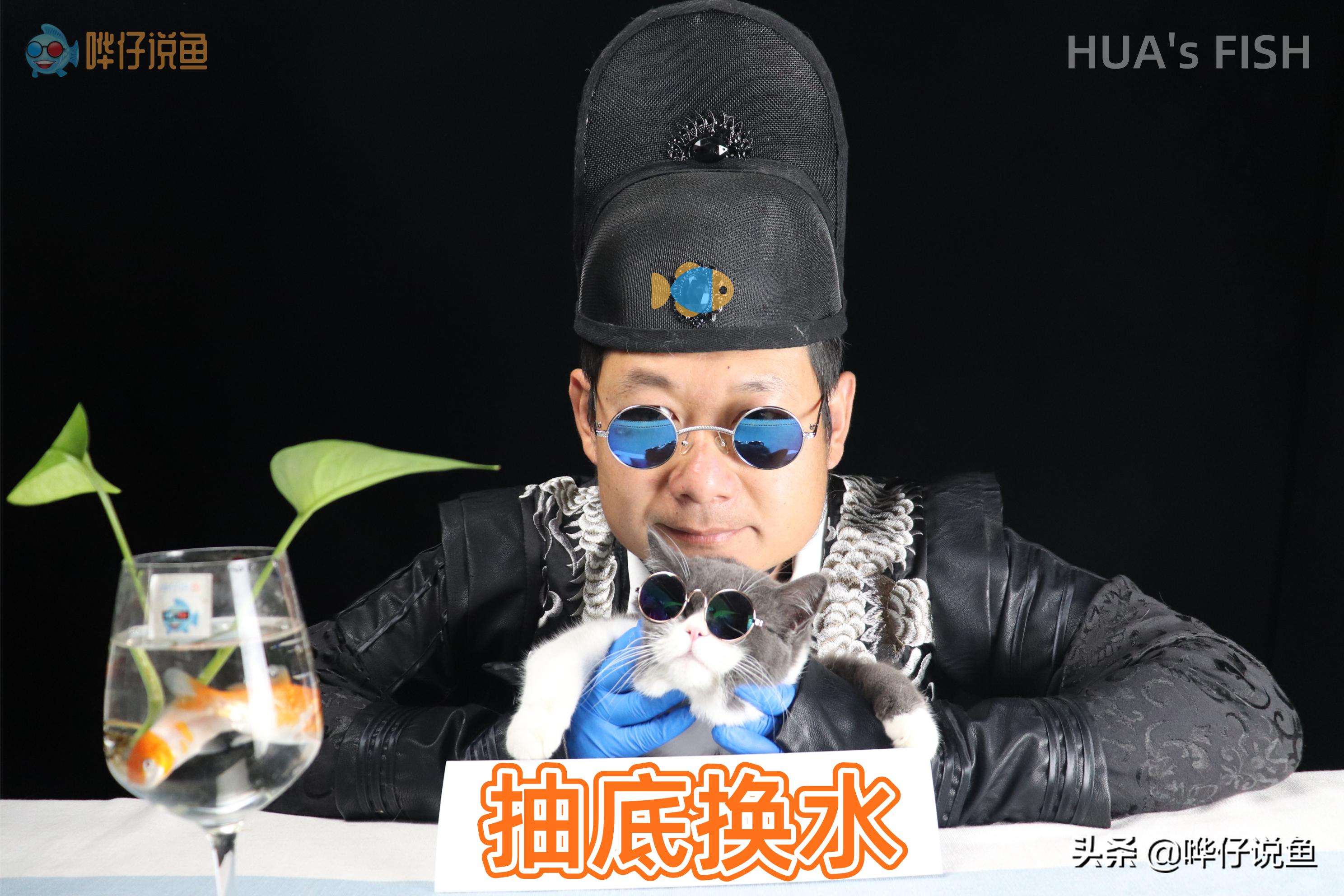 鱼缸养鱼怎么处理粪便,鱼缸里有鱼屎可以养什么