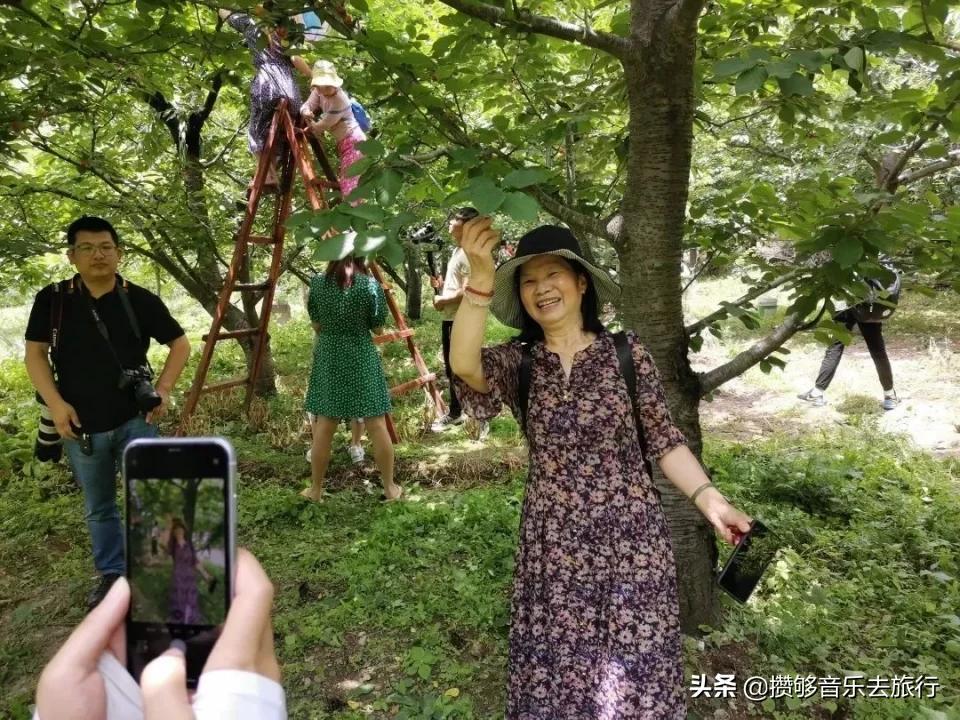 汶川三宝有哪些,汶川三宝市场枇杷