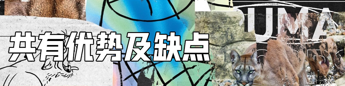 买好看又好穿的实战鞋，我居然会先想到Puma