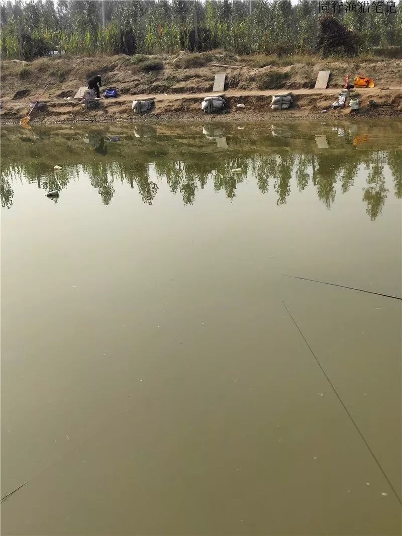 2019钓鱼日记,钓鱼笔记视频