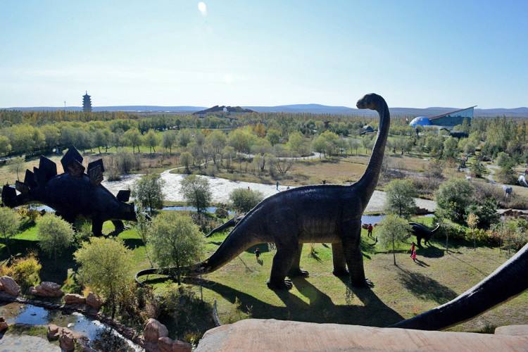 有龙的地方简介,有龙的地方景区