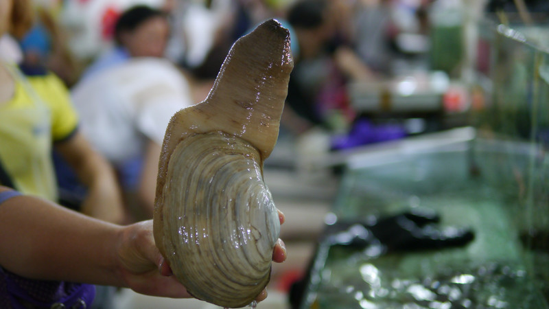 三亚婚纱摄影攻略,三亚婚纱照攻略及费用