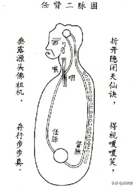 苏炳添同款大腿怎么练,苏炳添回应身材翘臀