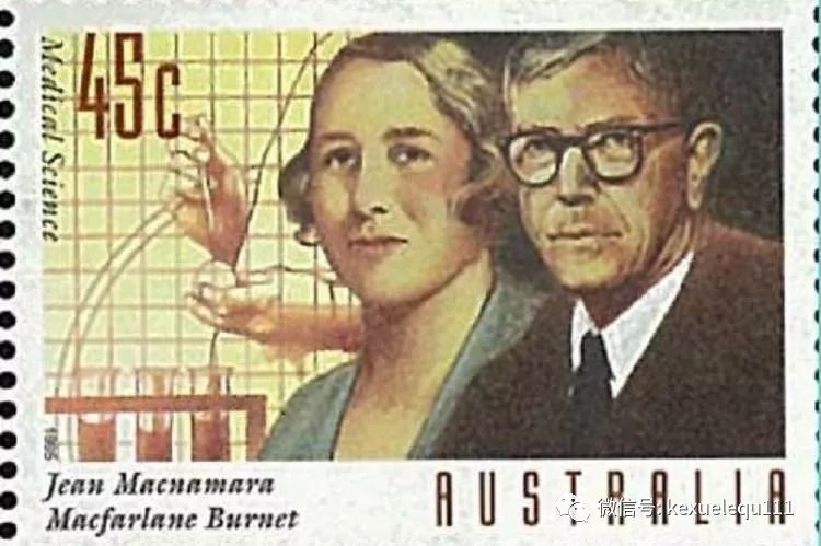 杀死兔子的方法,杀死兔子有什么后果