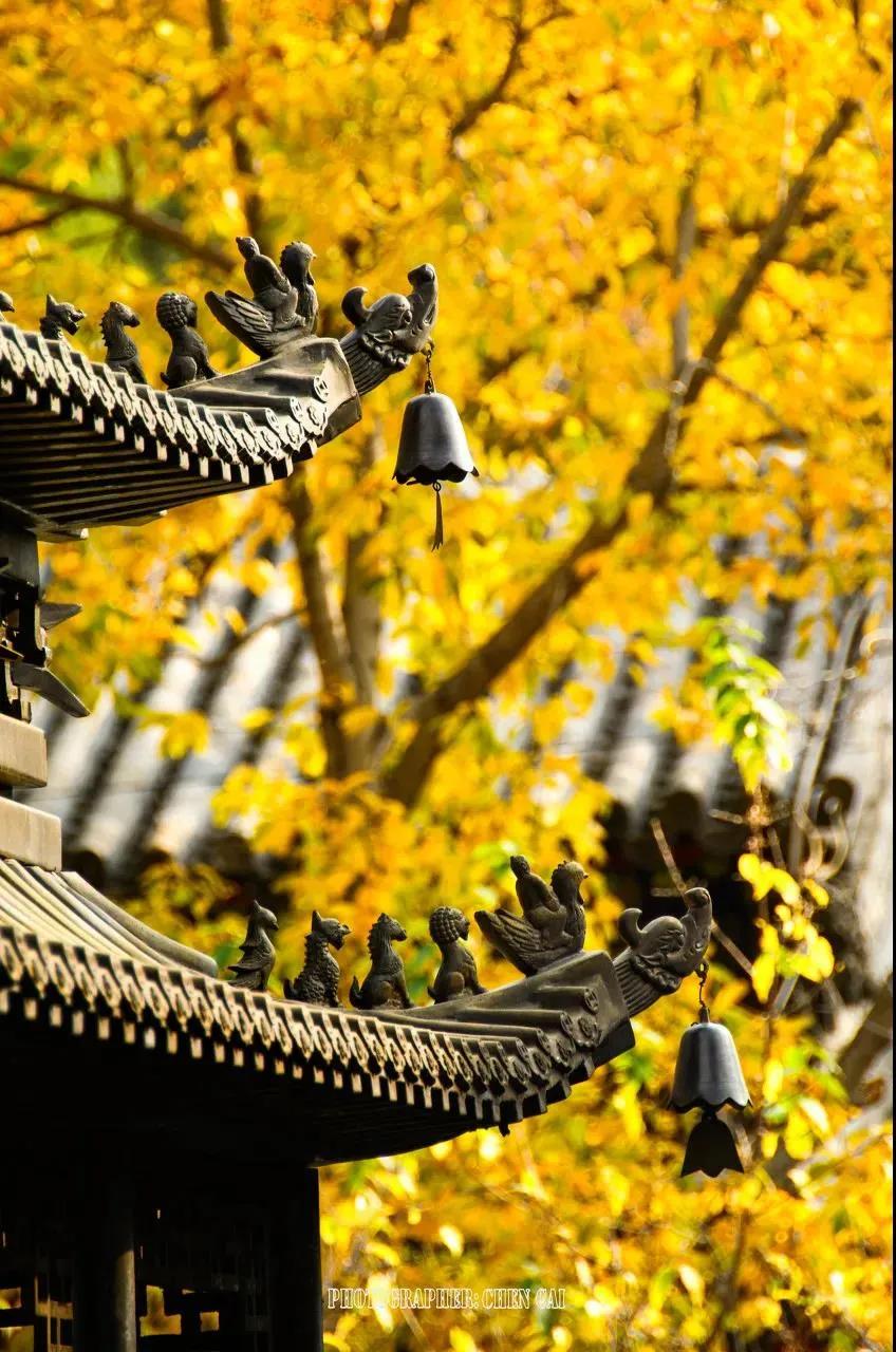 回不去的故乡到不了的远方句子,回不去的故乡到不了远方歌曲