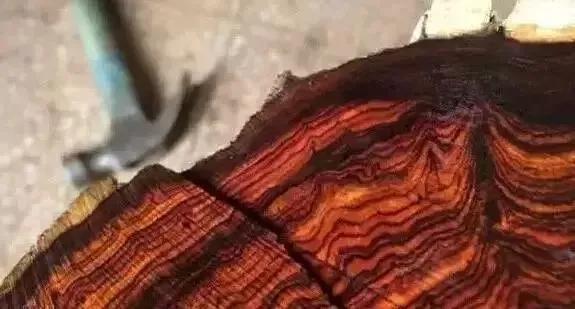 怎么鉴别红木家具用的什么木头,如何挑选红木家具的品质