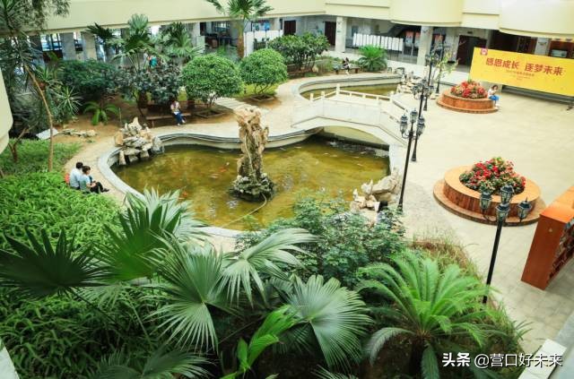 沈师复试通知,沈师现在让进吗