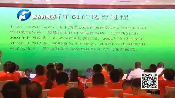 鸿翔集团年会,鸿翔年会