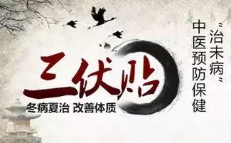 冬病夏治中医三伏贴开始预约啦,三伏贴冬病夏治开始预约