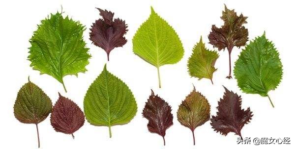 舒缓型护肤品主要功效是什么,修复镇静舒缓肌肤护肤品的卖点