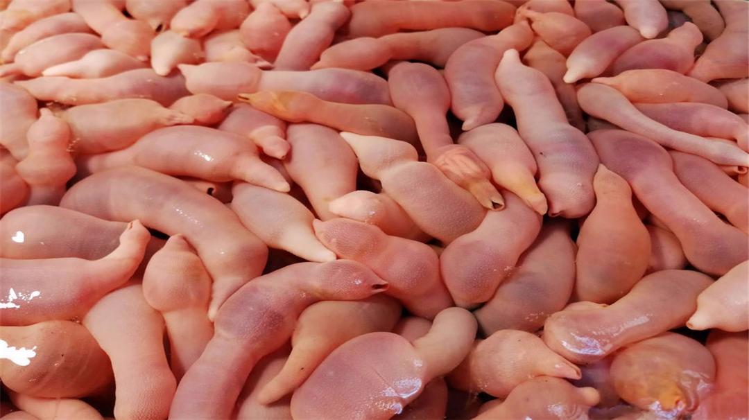 盘点六种其貌不扬的海鲜,这些外形奇葩而味道超级赞的海鲜