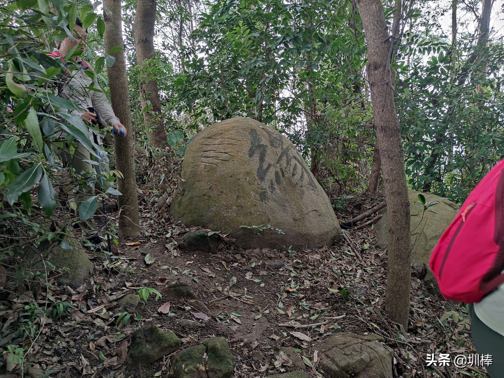 深圳最长的海岸线爬山攻略,凤凰山适合老人孩子的爬山攻略