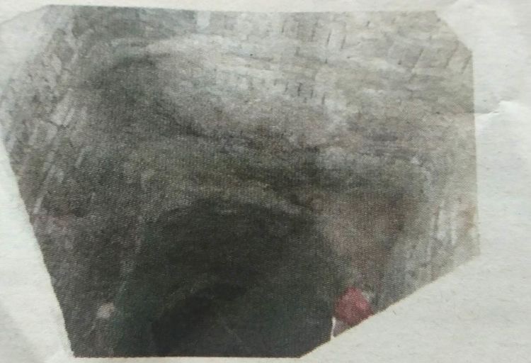 许昌老池的奥妙:井中曾有鱼,土中有龙骨