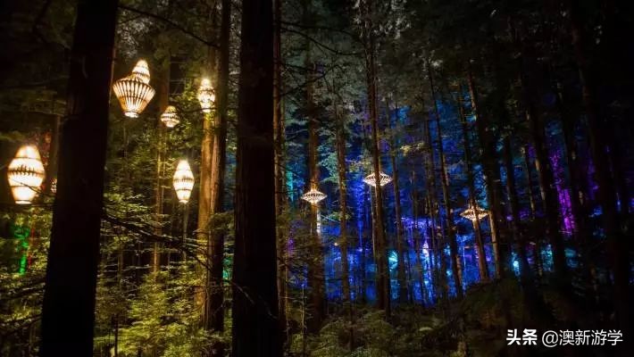 新西兰北岛自驾游攻略,新西兰北岛攻略3日行程规划