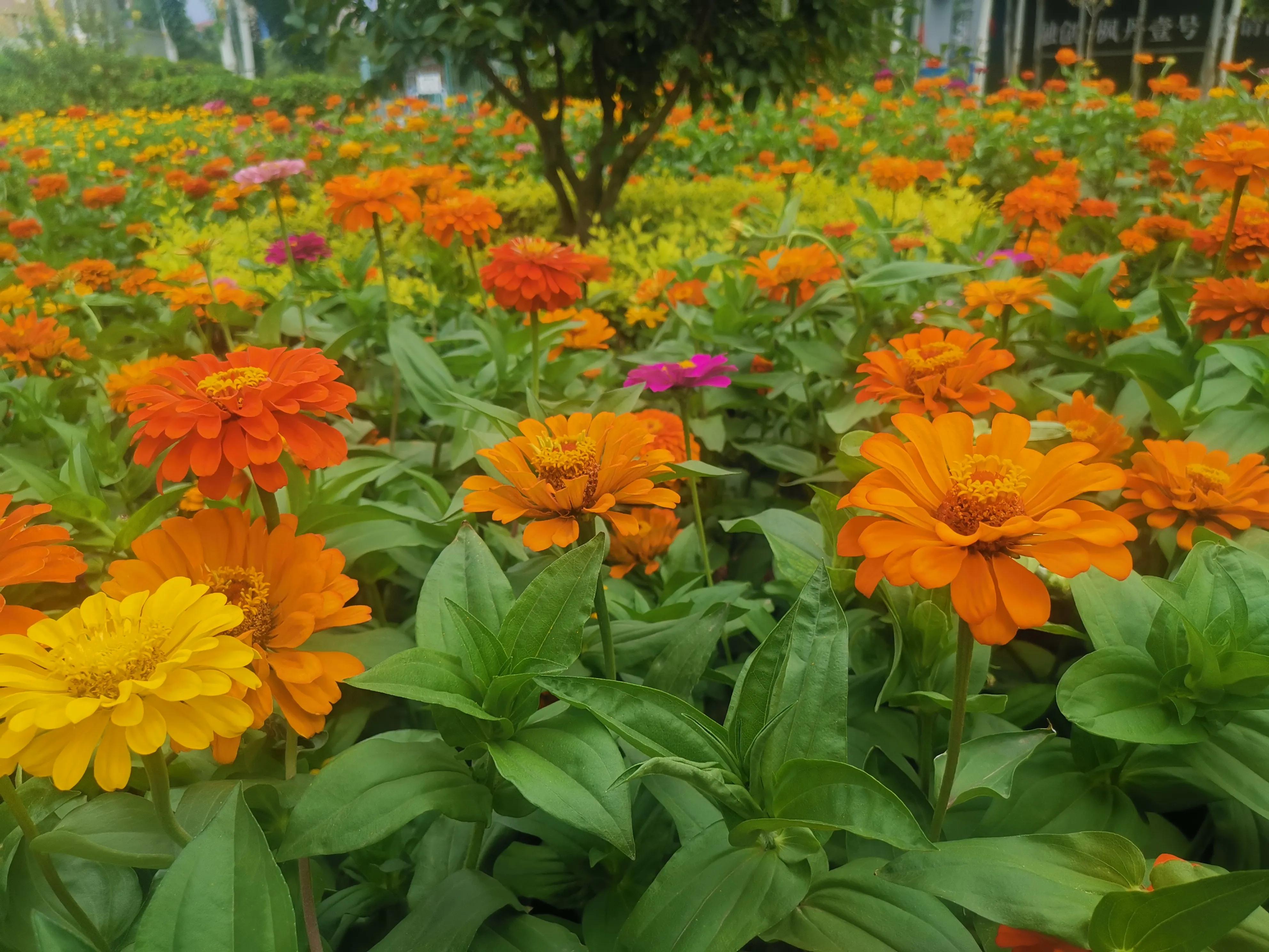 记忆模糊的三年,记忆回到三年前