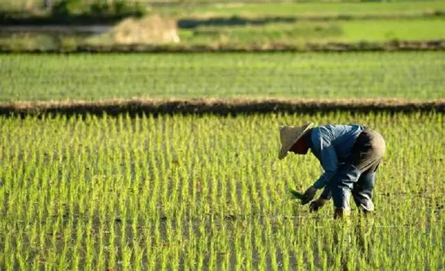 教育是点燃一把火而不灌满一桶水,教育不是注满一桶水而是燃一把火