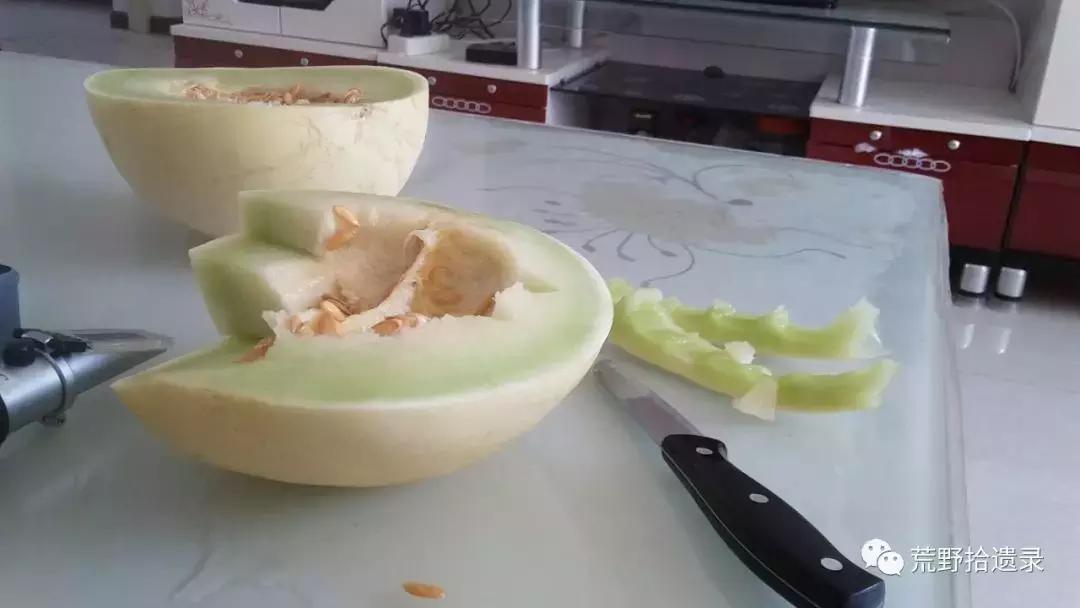 四川适合种植哈密瓜甜瓜品种,甜瓜种植技术新疆哈密瓜