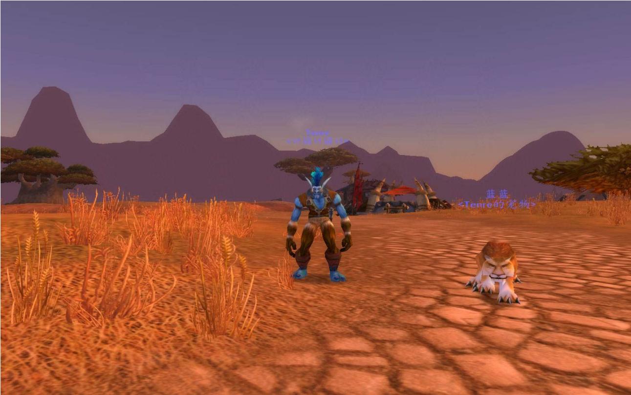 魔兽世界怀旧服80级双采最佳路线,魔兽世界怀旧服附魔最优冲级指南