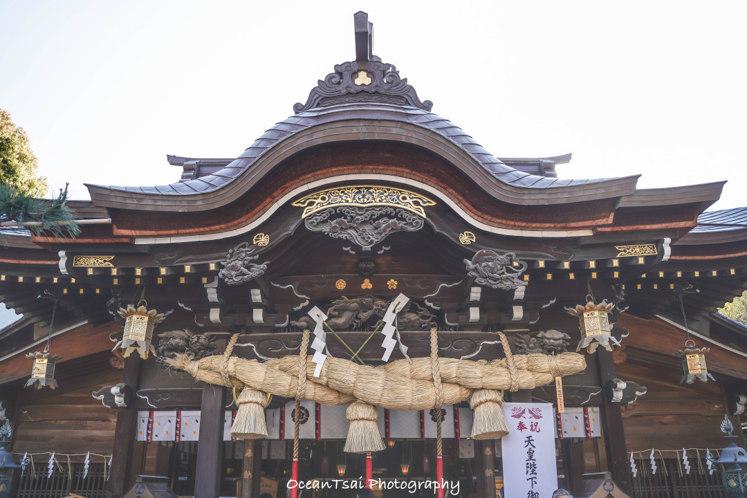 日本游轮游避坑,日本邮轮八天七夜具体行程