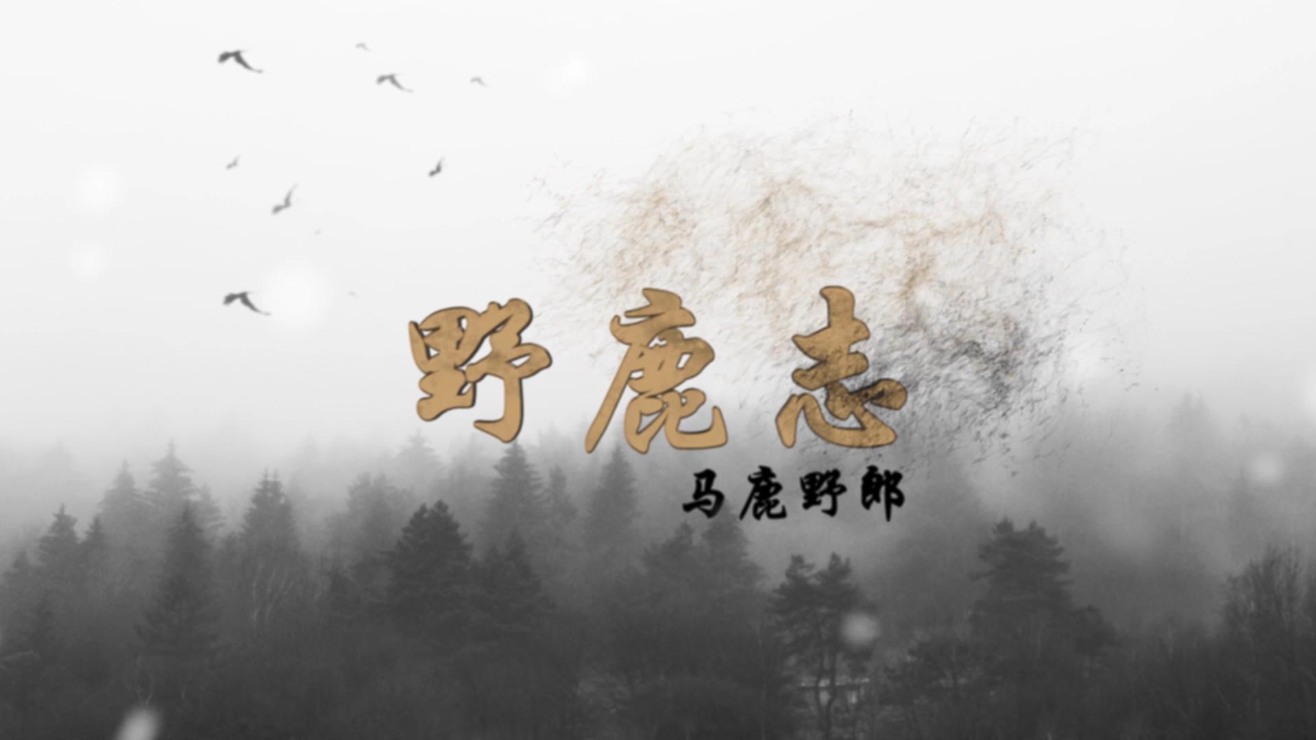 ae高级文字动画制作教程,ae制作迎新年动画教程