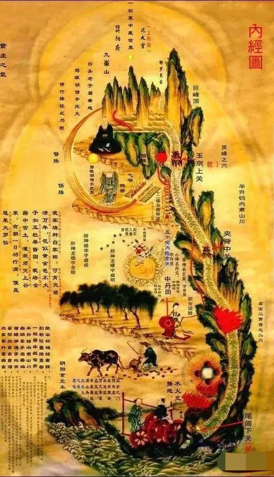 中医养生经典古籍,中医经典养生古籍