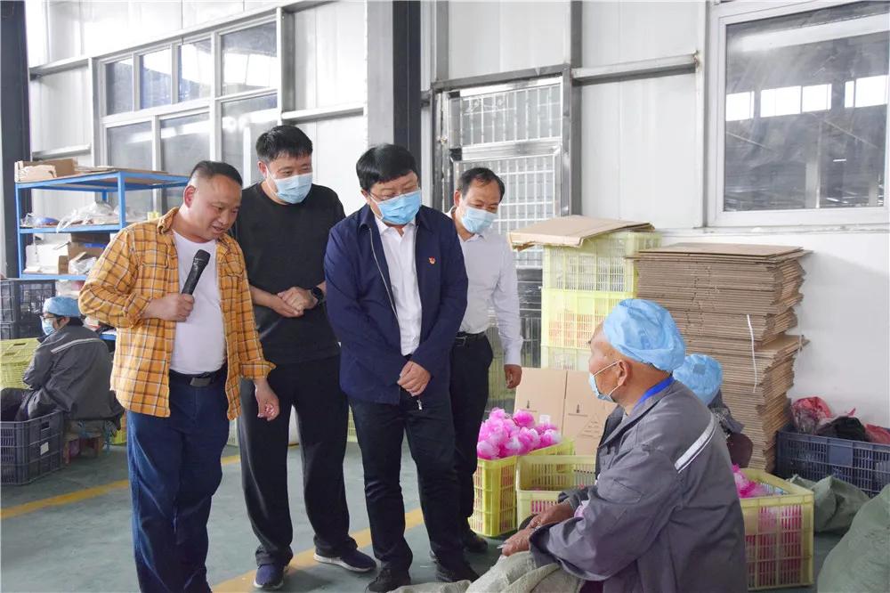 长葛贫困户脱贫有招:*款贷**养羊、*款贷**承包蔬菜大棚、*款贷**嘣爆米花…