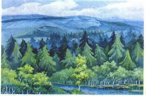 令人印象深刻的小学语文,不同年代的小学课文插图