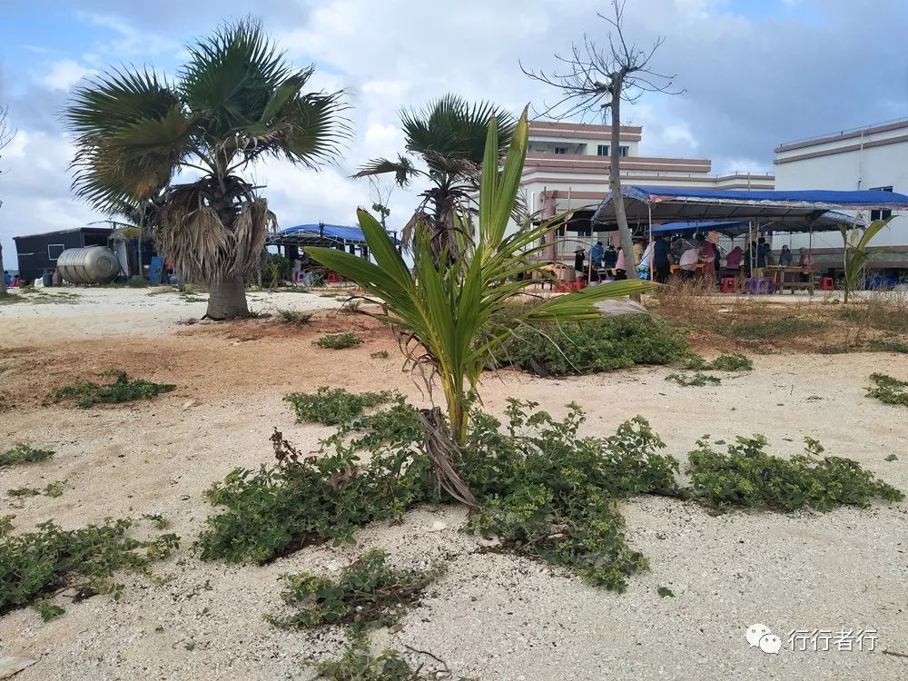 漂洋过海只为遇见你西沙攻略,西沙探秘游记大攻略