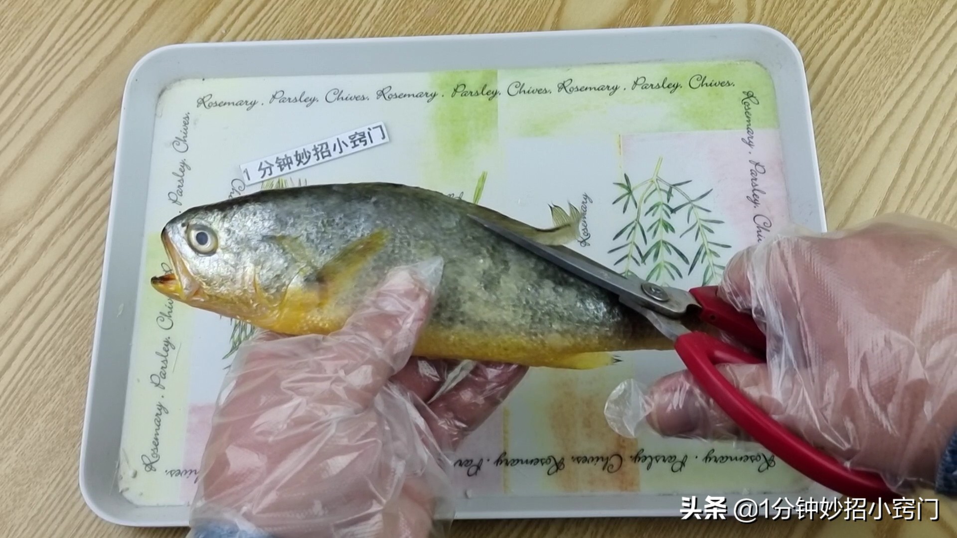 巧去鱼鳞不飞溅不脏手省时省力,最实用的刮鱼鳞工具