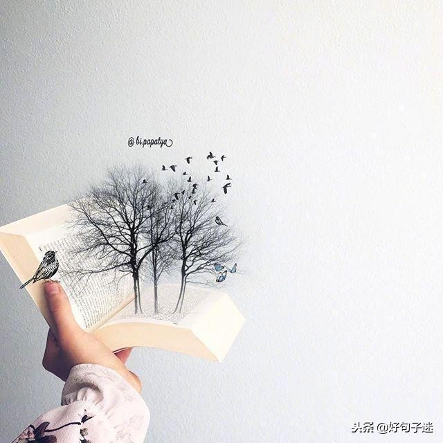 短小精悍的优美句子10-15字,精辟短小的句子