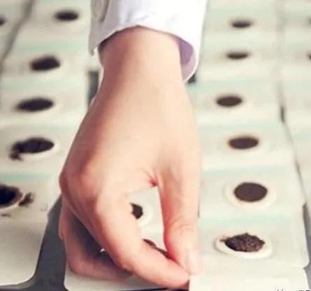 三伏贴预订倒计时,三伏贴预约最新消息