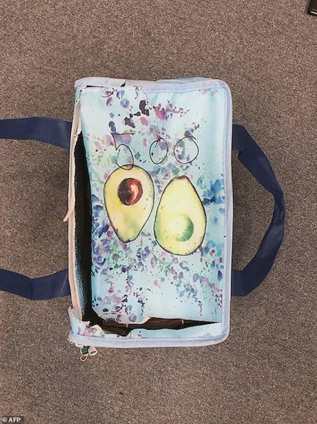 悉尼华人洗钱大案,悉尼华裔诈骗案