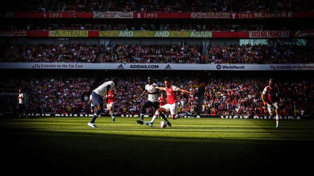 埃梅里保持英超竞争力,埃梅里还能继续执教吗