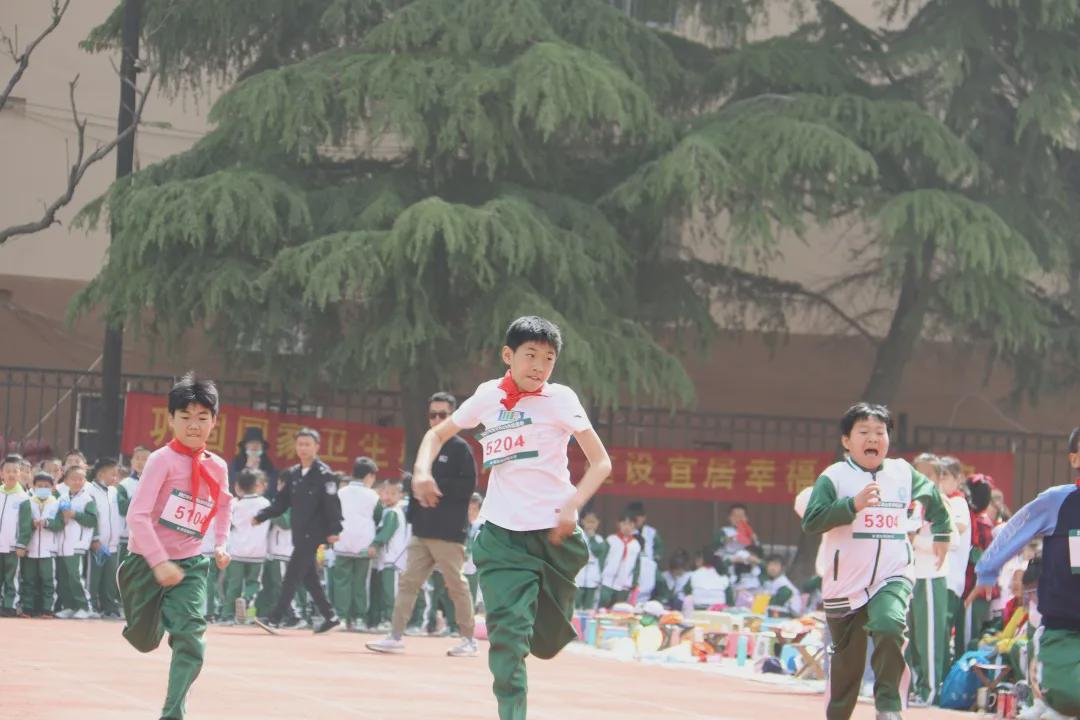 青岛市书院路小学,青岛书院路小学好吗