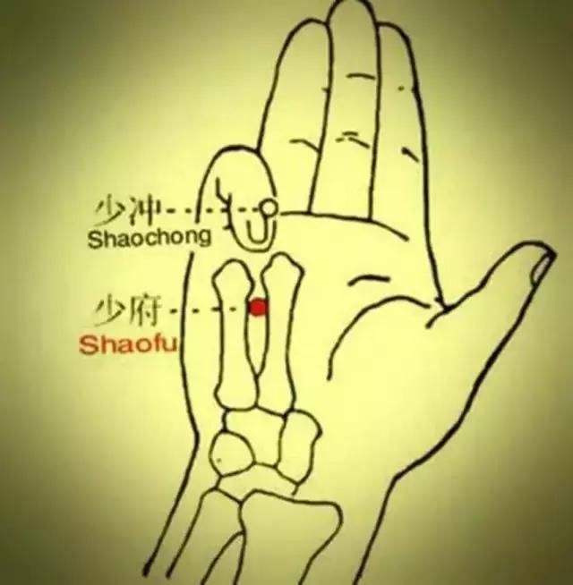 少府穴的用途有哪些,少府穴主治什么病