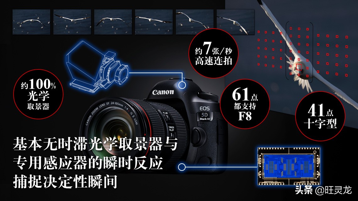 全画幅单反相机佳能5d3,佳能5d4拍美女