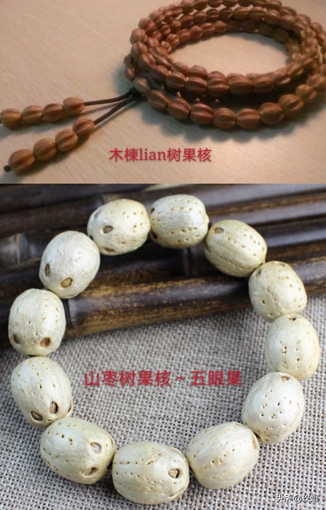 楠木枣图片,山枣啥值钱