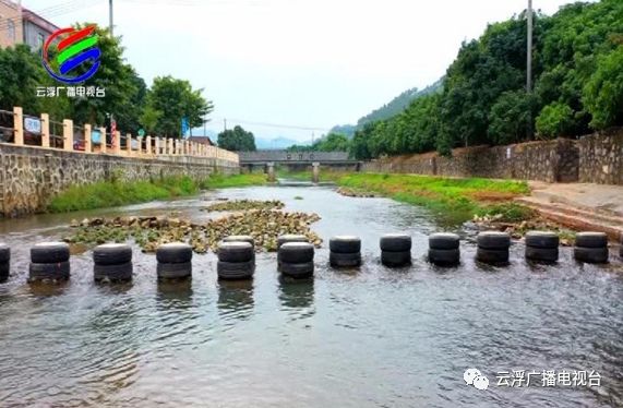 多彩云浮丨美“荔”宝珠，东进融湾