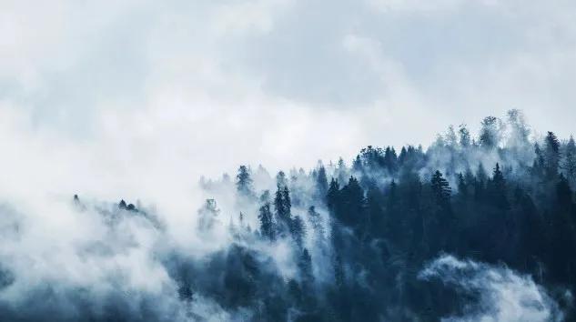 没圆满的人生却有知足的快乐,人生没有完美的幸福只有知足