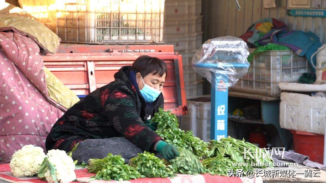 石家庄东胜年货节菜篮子,石家庄菜篮子补贴