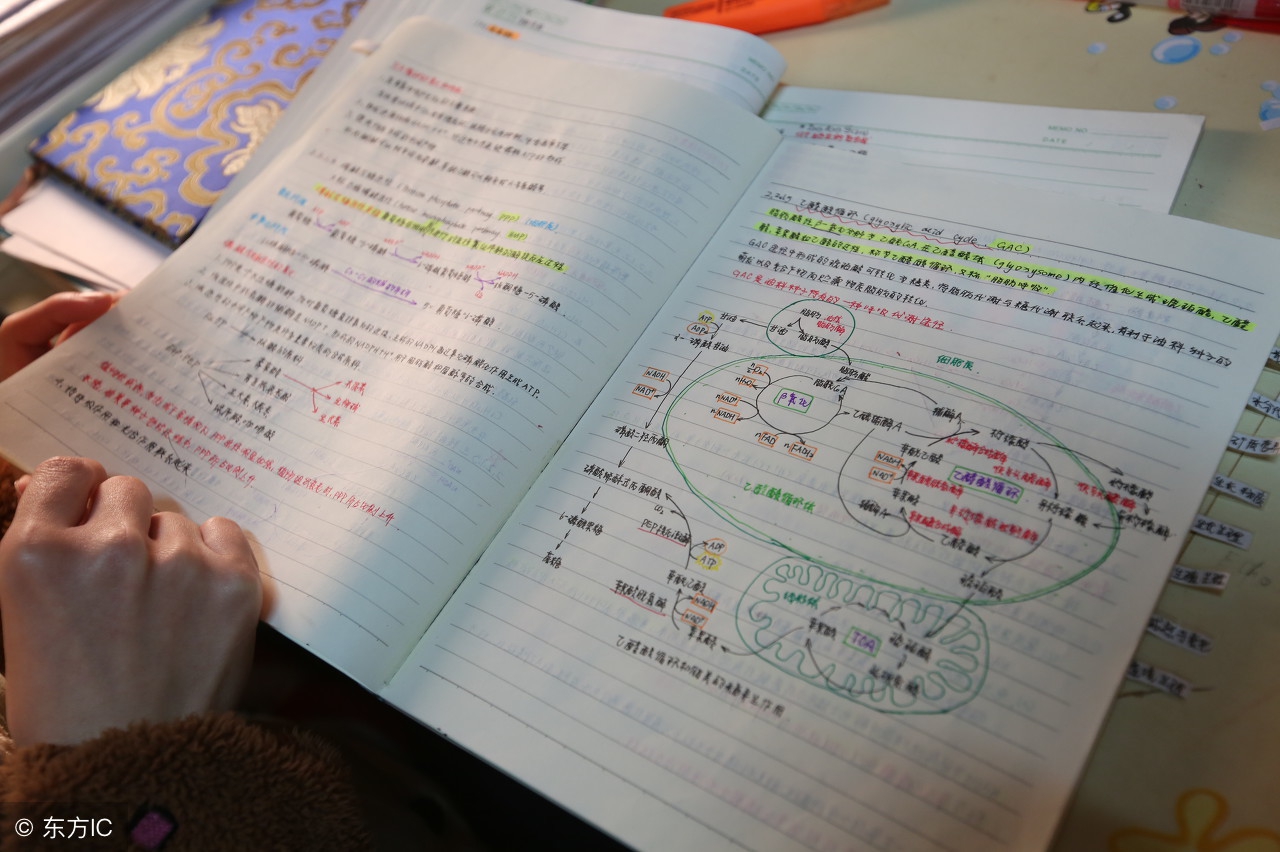 学姐分享考研速记方法,考研必看笔记