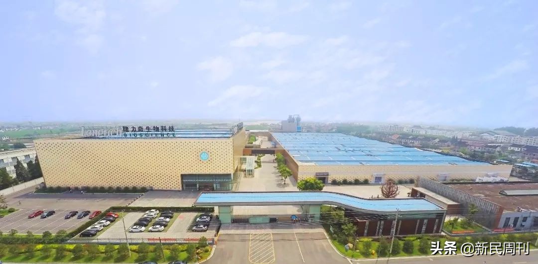 隆力奇中国风民族魂,中华民族品牌隆力奇