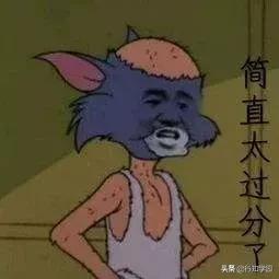 日本猕猴成功开启治疗头秃的大门,麻麻再也不用担心我的头发!