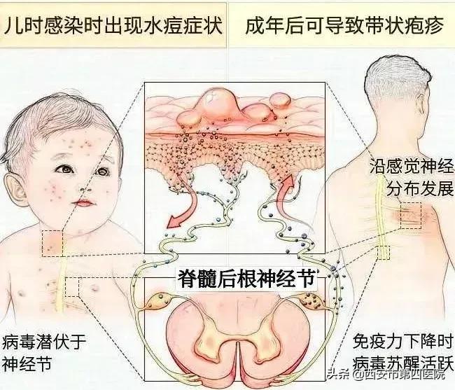 健康中国行动2030年,健康中国行动2023