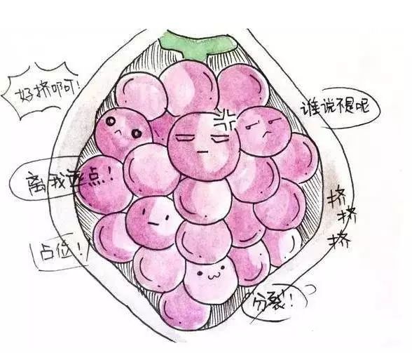 预防葡萄胎的运动,怀孕了怎么预防葡萄胎