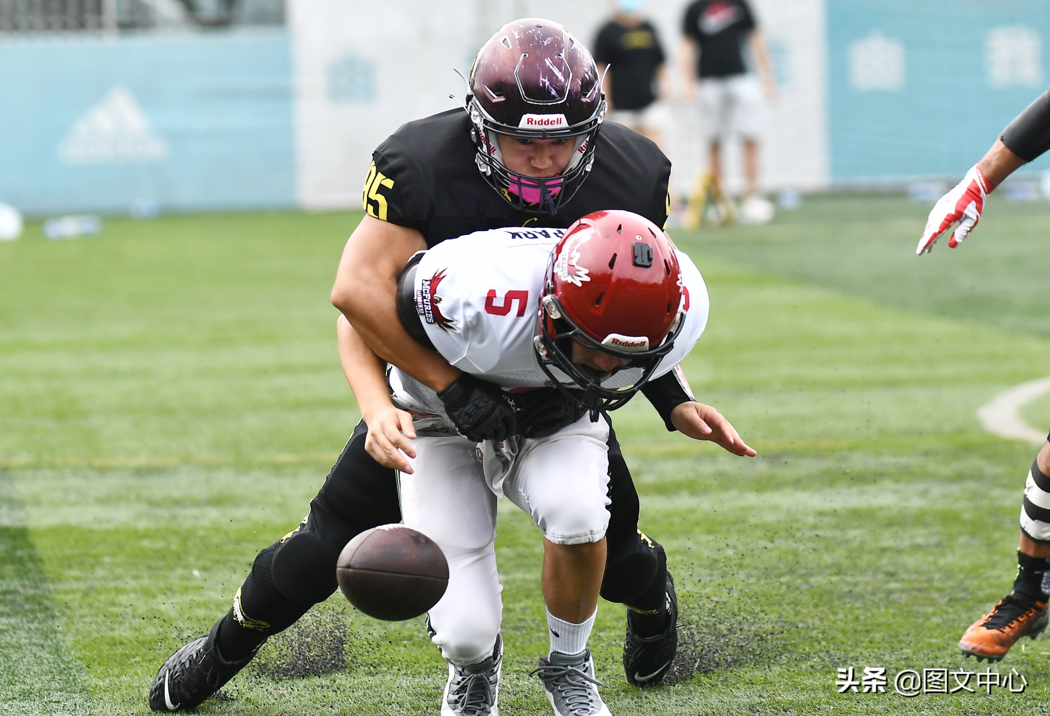 cnfl中国橄榄球联赛官网,cnfl橄榄球队伍